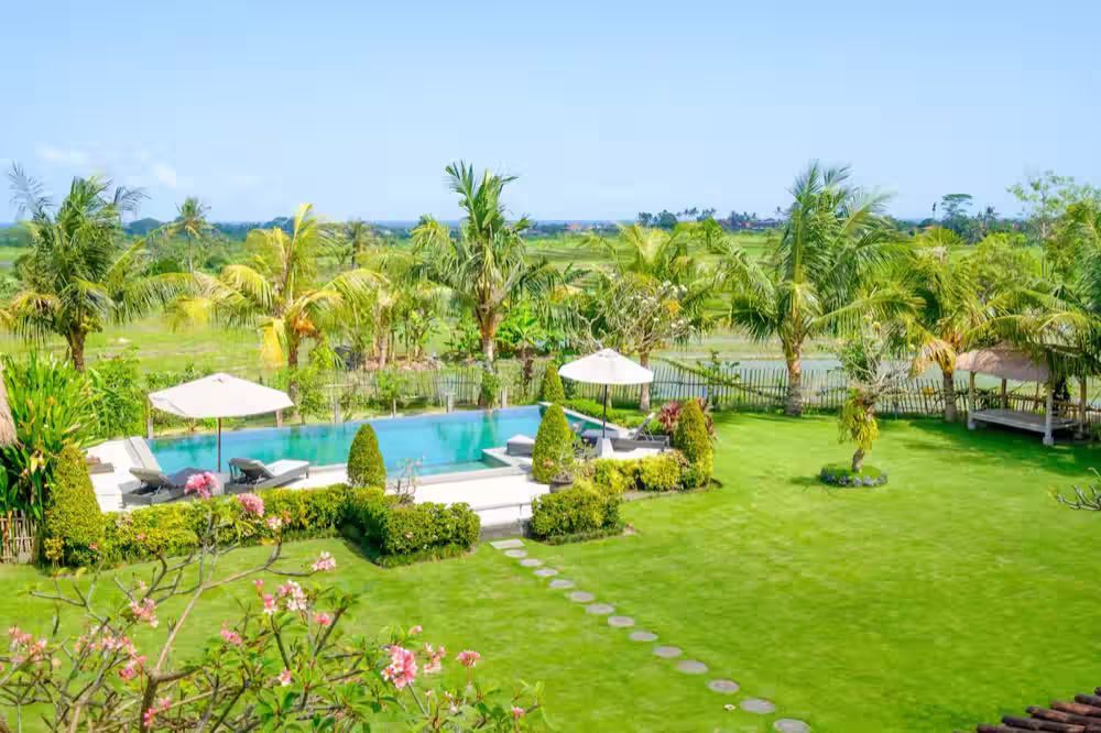 The garden: a lawn and stepping stones leading to the pool, with palms and rice fields beyond